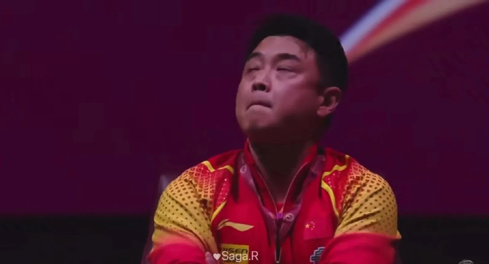 德国乒乓球队翻盘中国乒乓球队，王皓爆发神勇的简单介绍