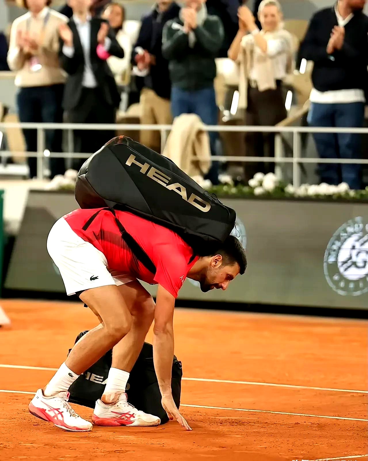 意大利网球队血洗世界网球队，德约科维奇高光表现的简单介绍