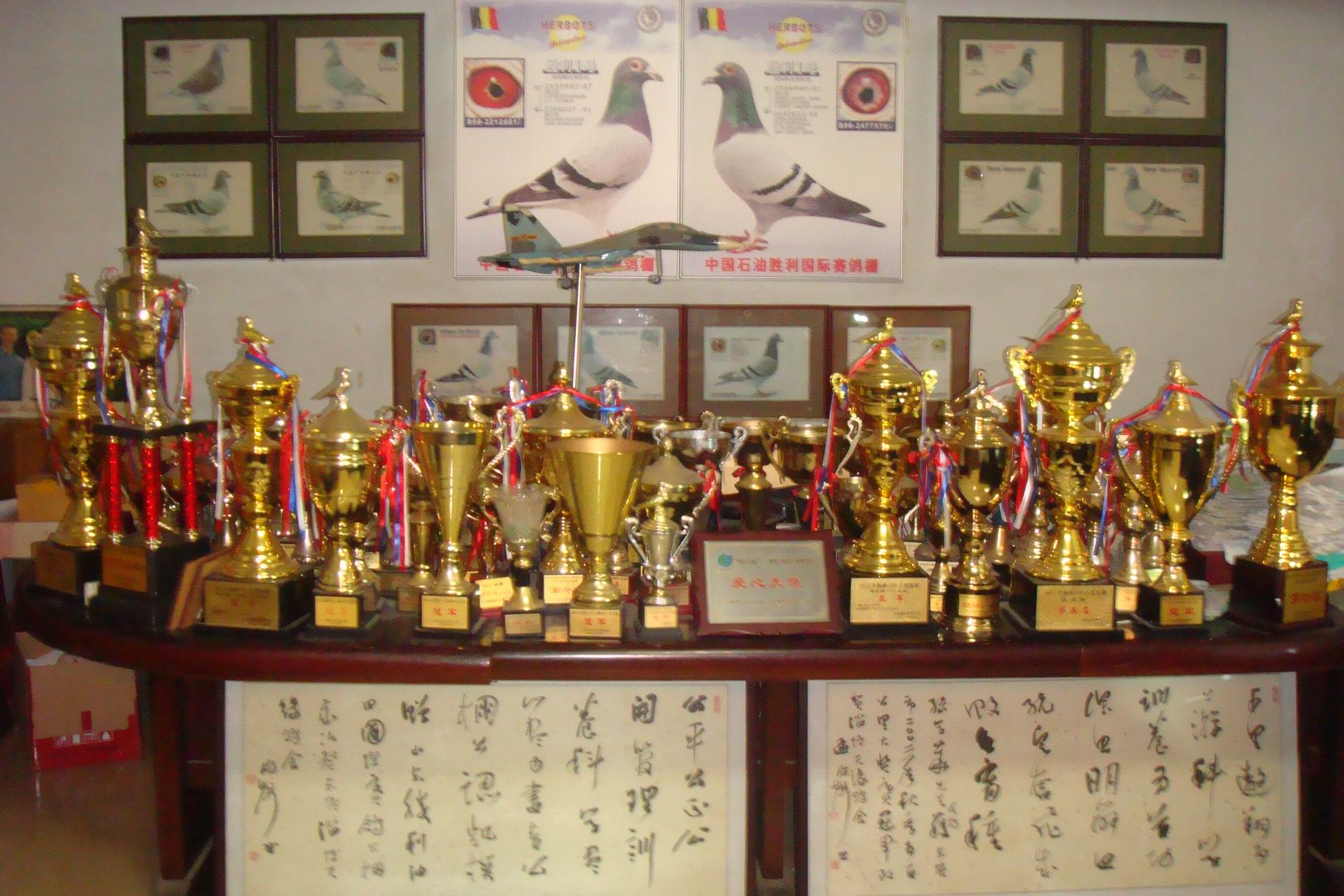 艾兹奎廷:在国际比赛中取得胜利 艾兹奎廷:在国际比赛中取得胜利