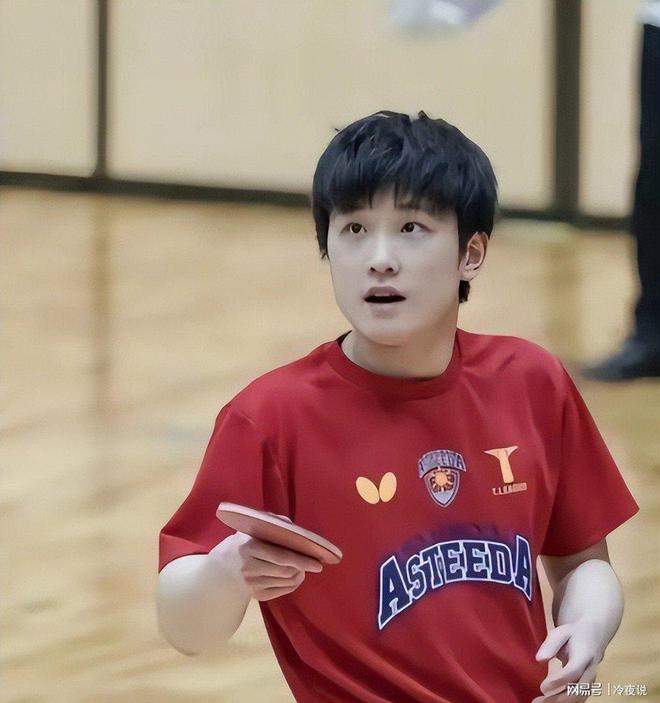 波兰队险胜中国队,张本智和带队取胜的简单介绍 波兰队险胜中国队,张本智和带队取胜的简单介绍